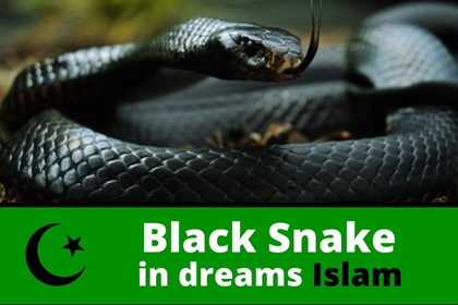 black snake dream islamic interpretation