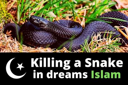 killing snakes in dreams islamic interpretation