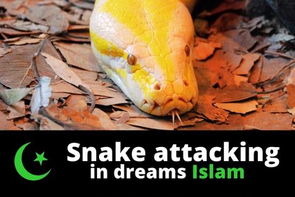 dream of snake attacking in islam