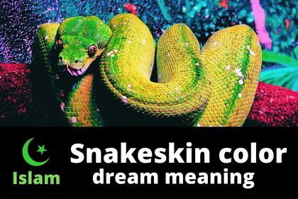 islamic meaning of a color of a snake in dreams