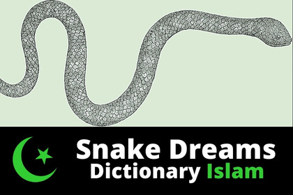 dictionary of snake dreams in islam