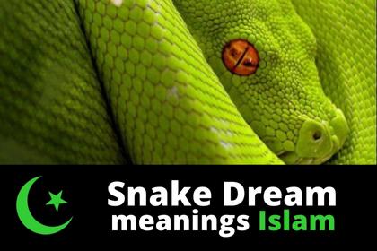 islamic interpretation of a dream of snakes