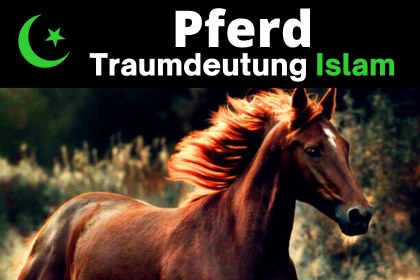 Islamische Deutung von Pferden im Traum